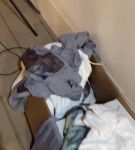 bfigl_001_0278.jpeg