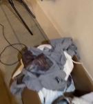 bfigl_001_0279.jpeg