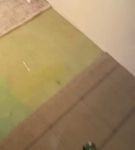 bfigl_001_0285.jpeg