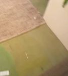 bfigl_001_0286.jpeg