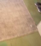 bfigl_001_0287.jpeg