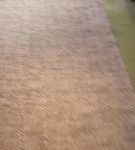 bfigl_001_0288.jpeg