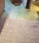 bfigl_001_0291.jpeg