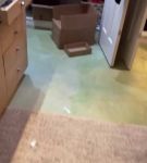 bfigl_001_0292.jpeg
