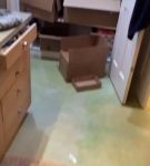 bfigl_001_0293.jpeg