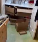 bfigl_001_0294.jpeg
