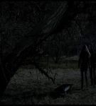 13e_03_0000482.jpeg