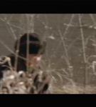 Filename=eom02006.jpeg
Filesize=51KiB
Dimensions=640x480
Date added=Oct 07, 2017 eom02006.jpeg
