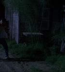 tfs_01_5168.jpeg