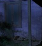 tfs_01_5178.jpeg