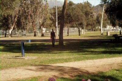 at_02_0000245.jpeg