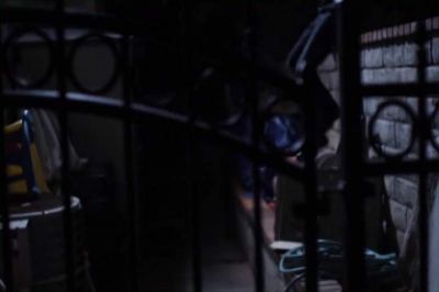 at_02_0004289.jpeg