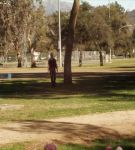 at_02_0000245.jpeg