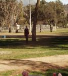 at_02_0000247.jpeg