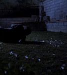 at_02_0004547.jpeg