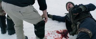 dotw_01_2689.jpeg
