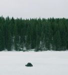 dotw_01_0770.jpeg