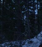 dotw_01_0875.jpeg