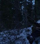 dotw_01_0877.jpeg