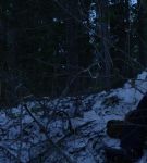 dotw_01_0881.jpeg