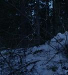 dotw_01_0907.jpeg