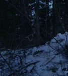 dotw_01_0909.jpeg