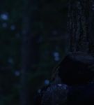 dotw_01_0916.jpeg