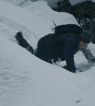 dotw_01_1128.jpeg
