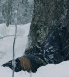 dotw_01_1517.jpeg