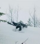 dotwtt_01_0292.jpeg