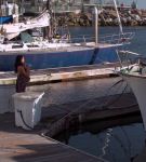 Filename=0002707.jpeg
Filesize=527KiB
Dimensions=1920x1080
Date added=Mar 22, 2023 0002707.jpeg