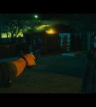 000_001_0536.jpeg