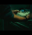 000_001_1290.jpeg