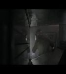 Filename=st_04_0000112.jpeg
Filesize=8KiB
Dimensions=720x480
Date added=Oct 07, 2017 st_04_0000112.jpeg