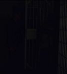 BWAN_006_0310.jpeg