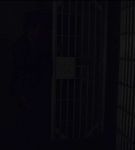 BWAN_006_0313.jpeg