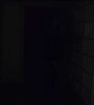 BWAN_006_0325.jpeg