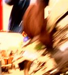 graduation-959.jpg