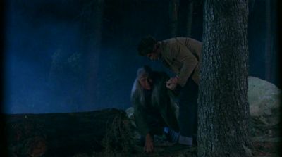 intothewoods-538.jpg