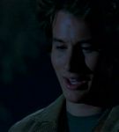 intothewoods-550.jpg