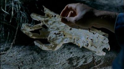 skinbones-266.jpg
