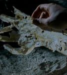 skinbones-266.jpg