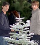 xmas01.jpg