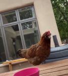 0000025~6.jpeg