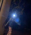 Filename=BFCBTS_002_1310.jpeg
Filesize=18KiB
Dimensions=608x1088
Date added=Nov 17, 2020 BFCBTS_002_1310.jpeg